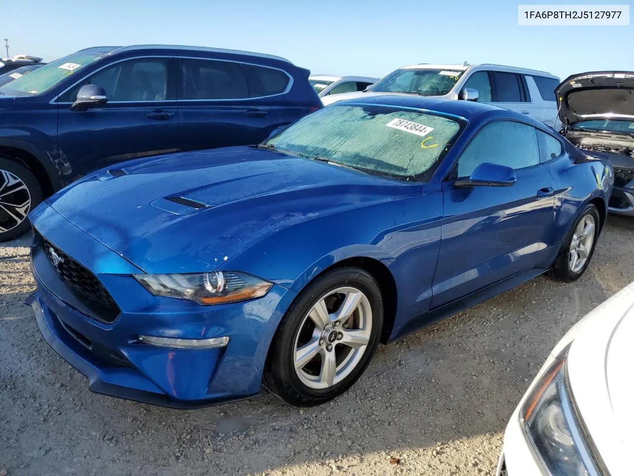 2018 Ford Mustang VIN: 1FA6P8TH2J5127977 Lot: 78743844