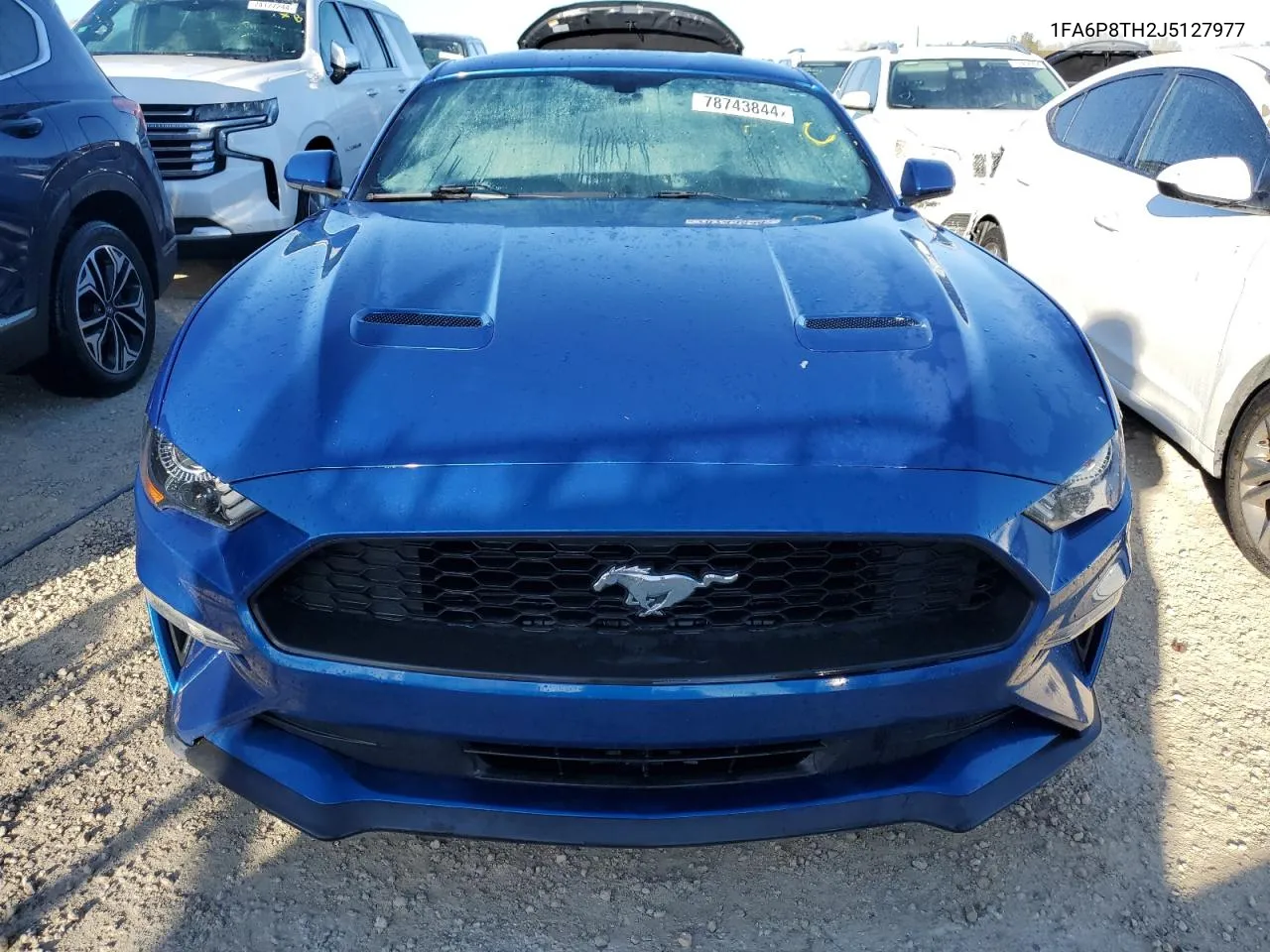 2018 Ford Mustang VIN: 1FA6P8TH2J5127977 Lot: 78743844