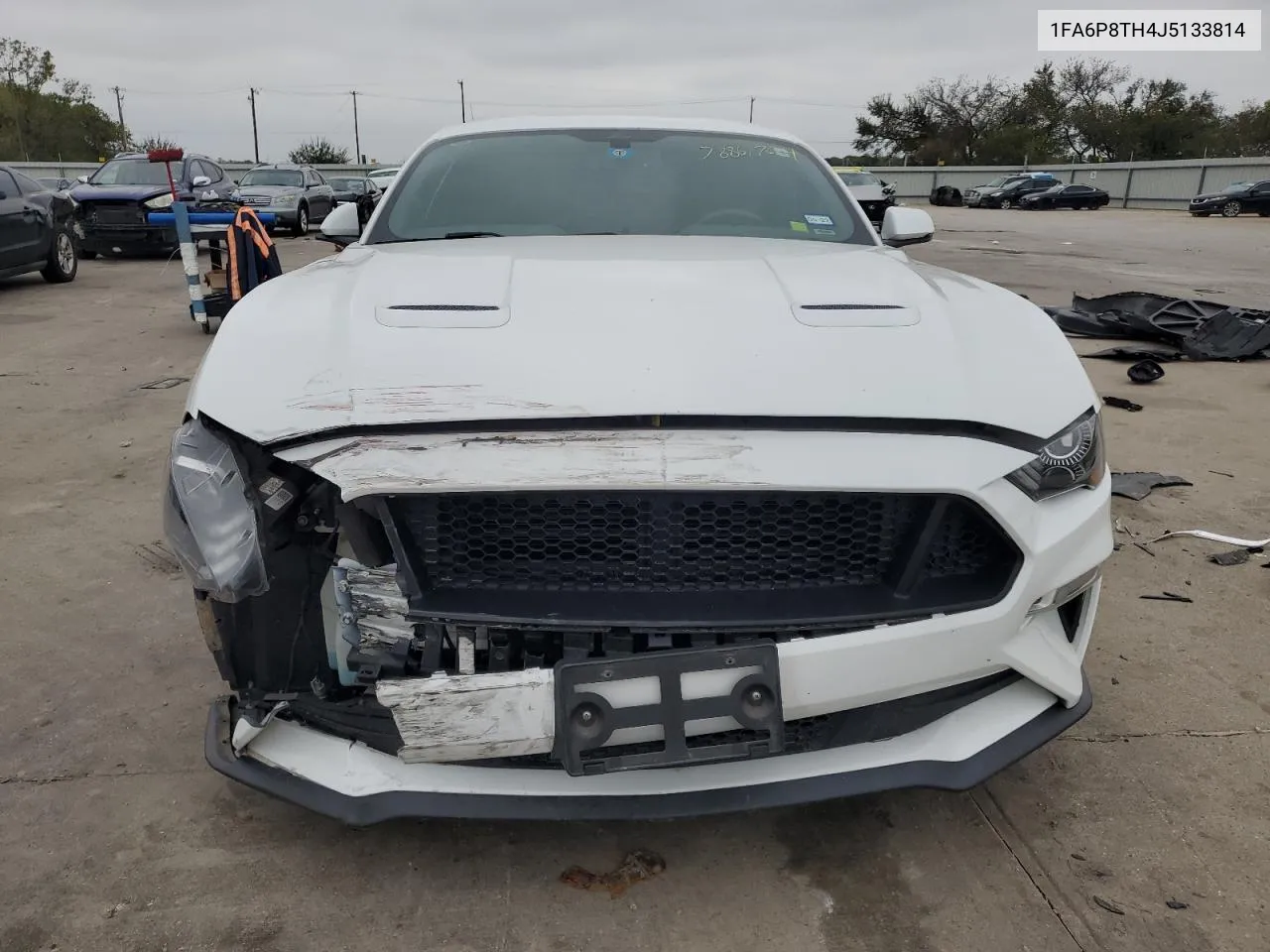 2018 Ford Mustang VIN: 1FA6P8TH4J5133814 Lot: 78861704