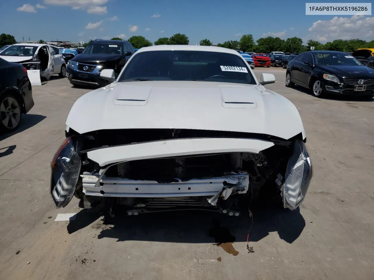 2019 Ford Mustang VIN: 1FA6P8THXK5196286 Lot: 52802134