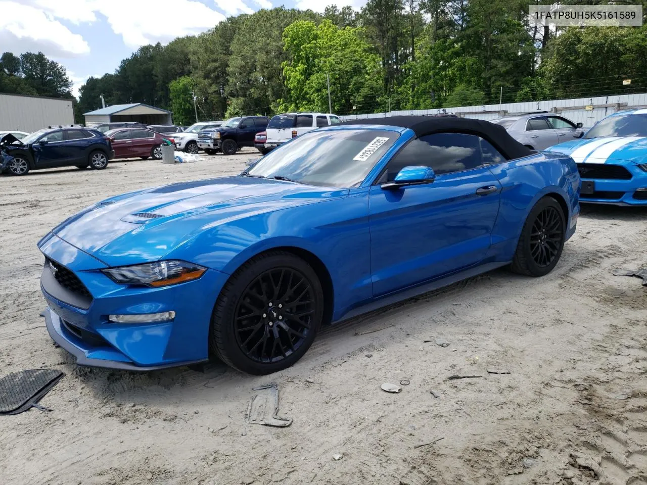 2019 Ford Mustang VIN: 1FATP8UH5K5161589 Lot: 56311834