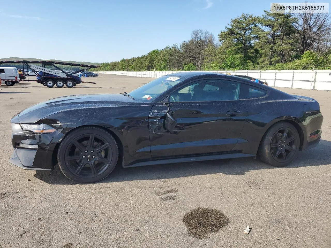 2019 Ford Mustang VIN: 1FA6P8TH2K5165971 Lot: 57481964