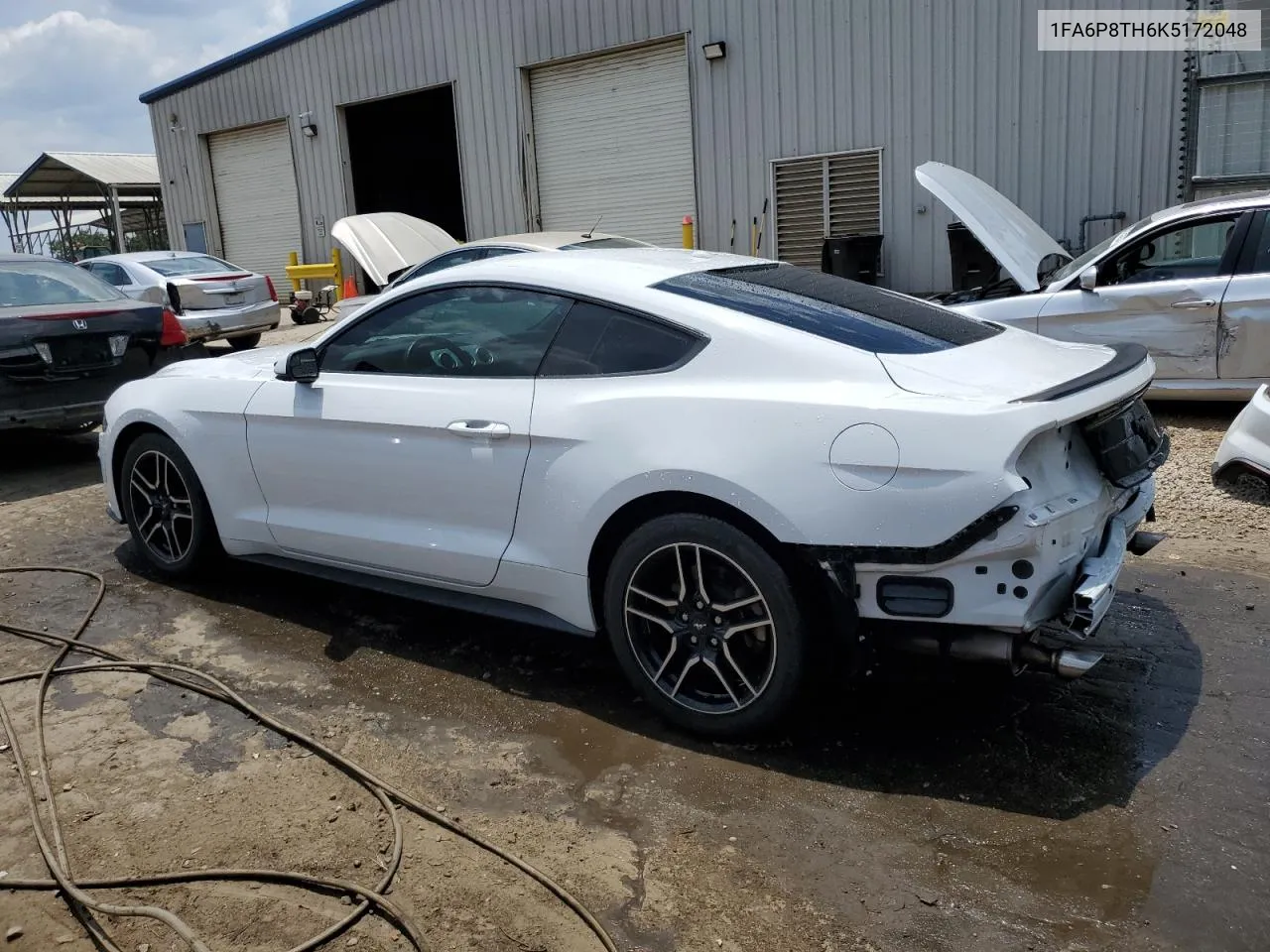 2019 Ford Mustang VIN: 1FA6P8TH6K5172048 Lot: 59333754