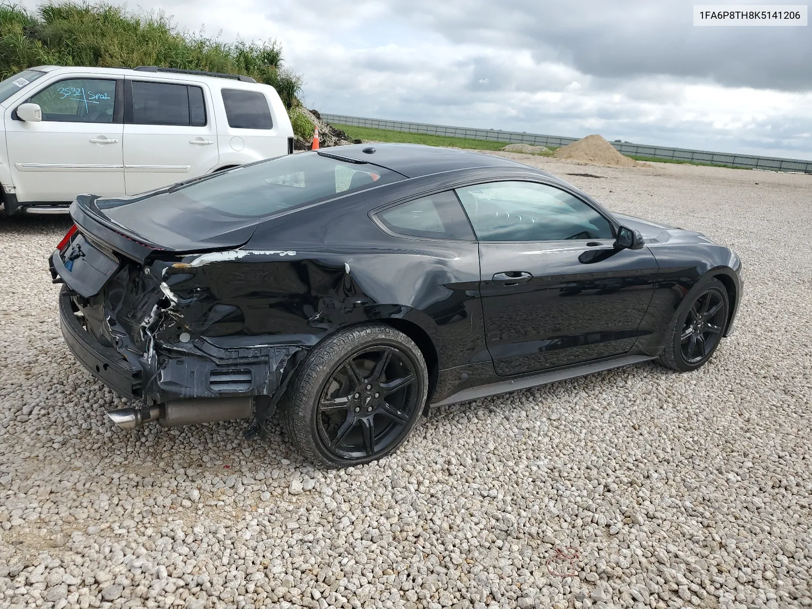 1FA6P8TH8K5141206 2019 Ford Mustang