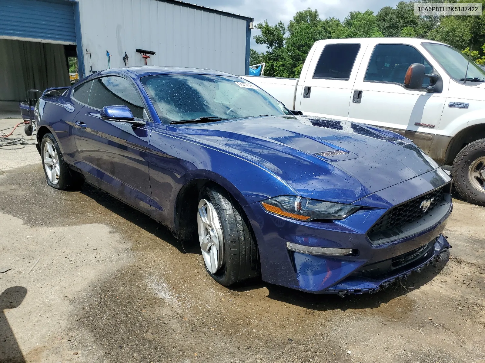 2019 Ford Mustang VIN: 1FA6P8TH2K5187422 Lot: 64477454