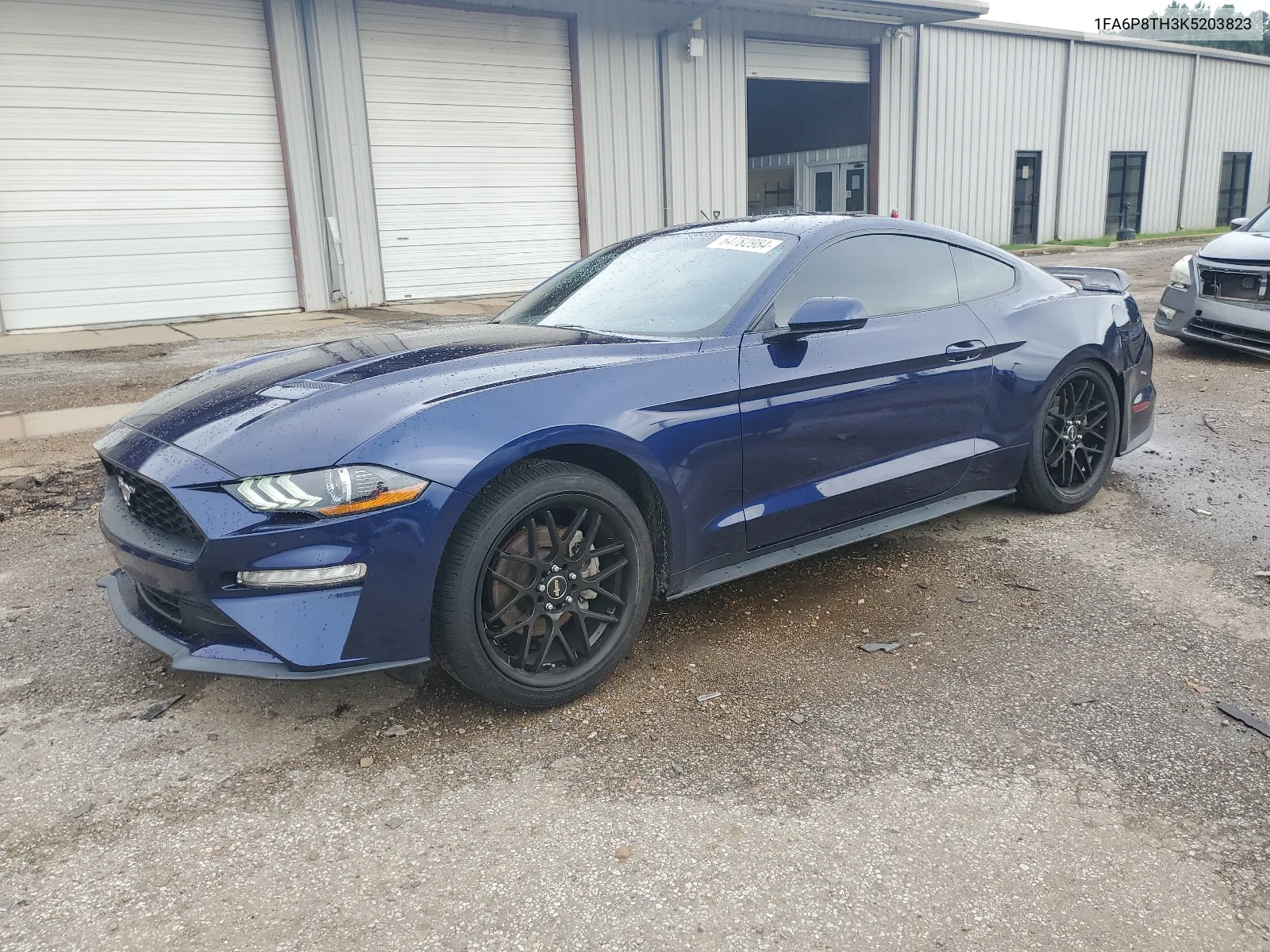 2019 Ford Mustang VIN: 1FA6P8TH3K5203823 Lot: 64782984