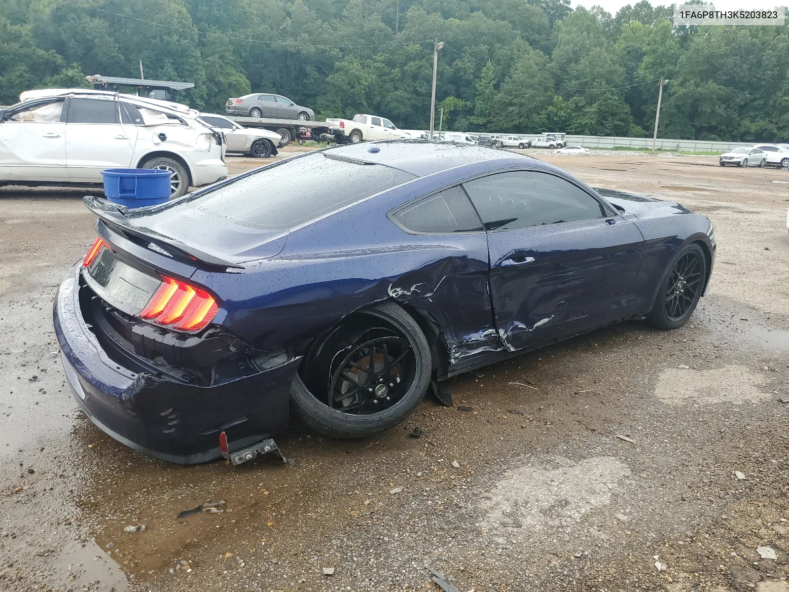 2019 Ford Mustang VIN: 1FA6P8TH3K5203823 Lot: 64782984