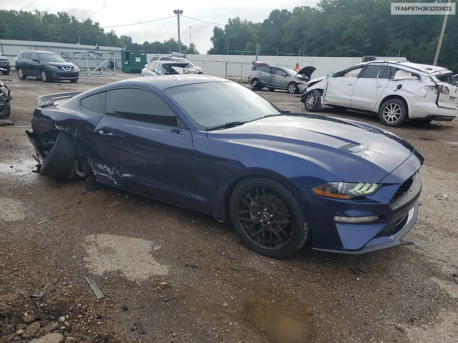 2019 Ford Mustang VIN: 1FA6P8TH3K5203823 Lot: 64782984