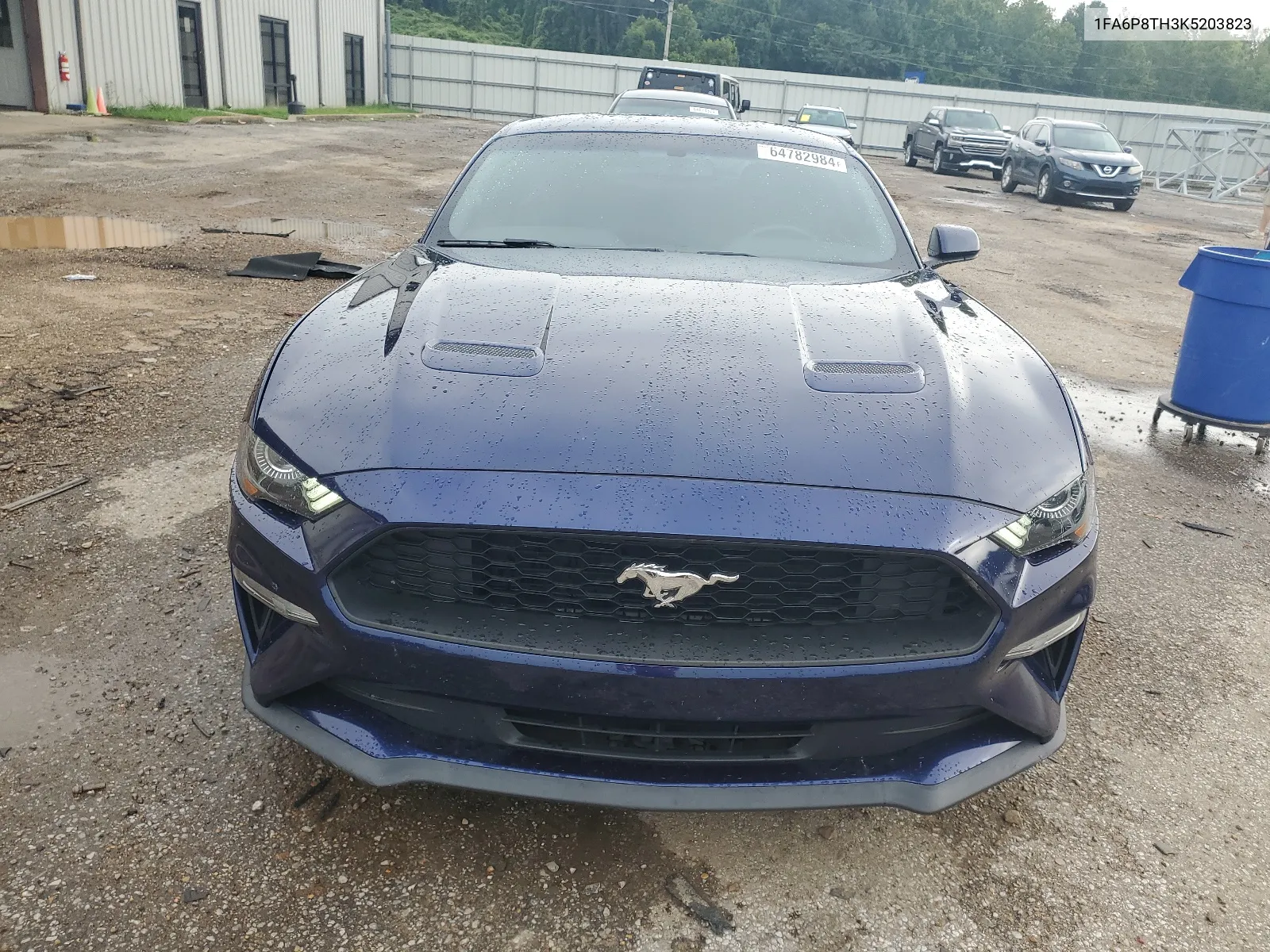 2019 Ford Mustang VIN: 1FA6P8TH3K5203823 Lot: 64782984