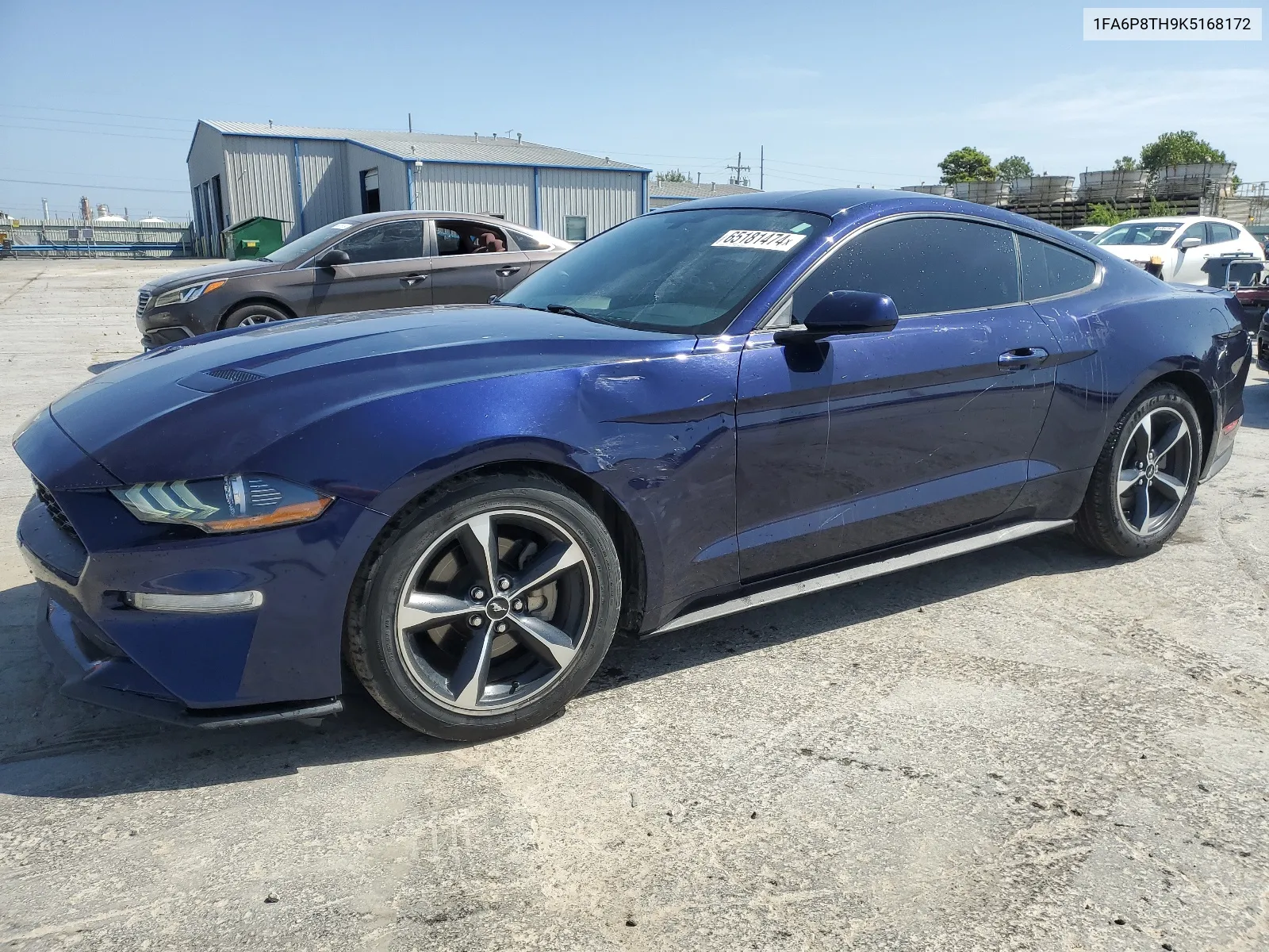 2019 Ford Mustang VIN: 1FA6P8TH9K5168172 Lot: 65181474