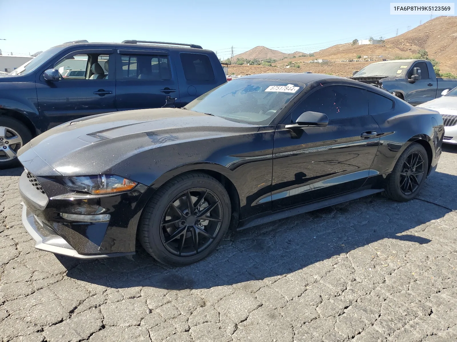 2019 Ford Mustang VIN: 1FA6P8TH9K5123569 Lot: 67517844