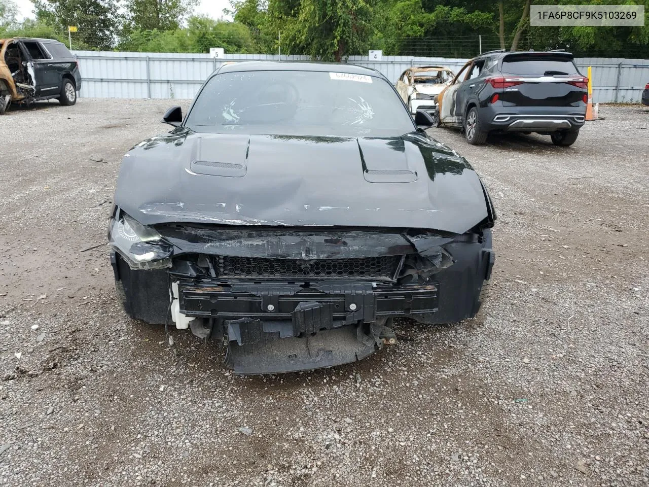 1FA6P8CF9K5103269 2019 Ford Mustang Gt