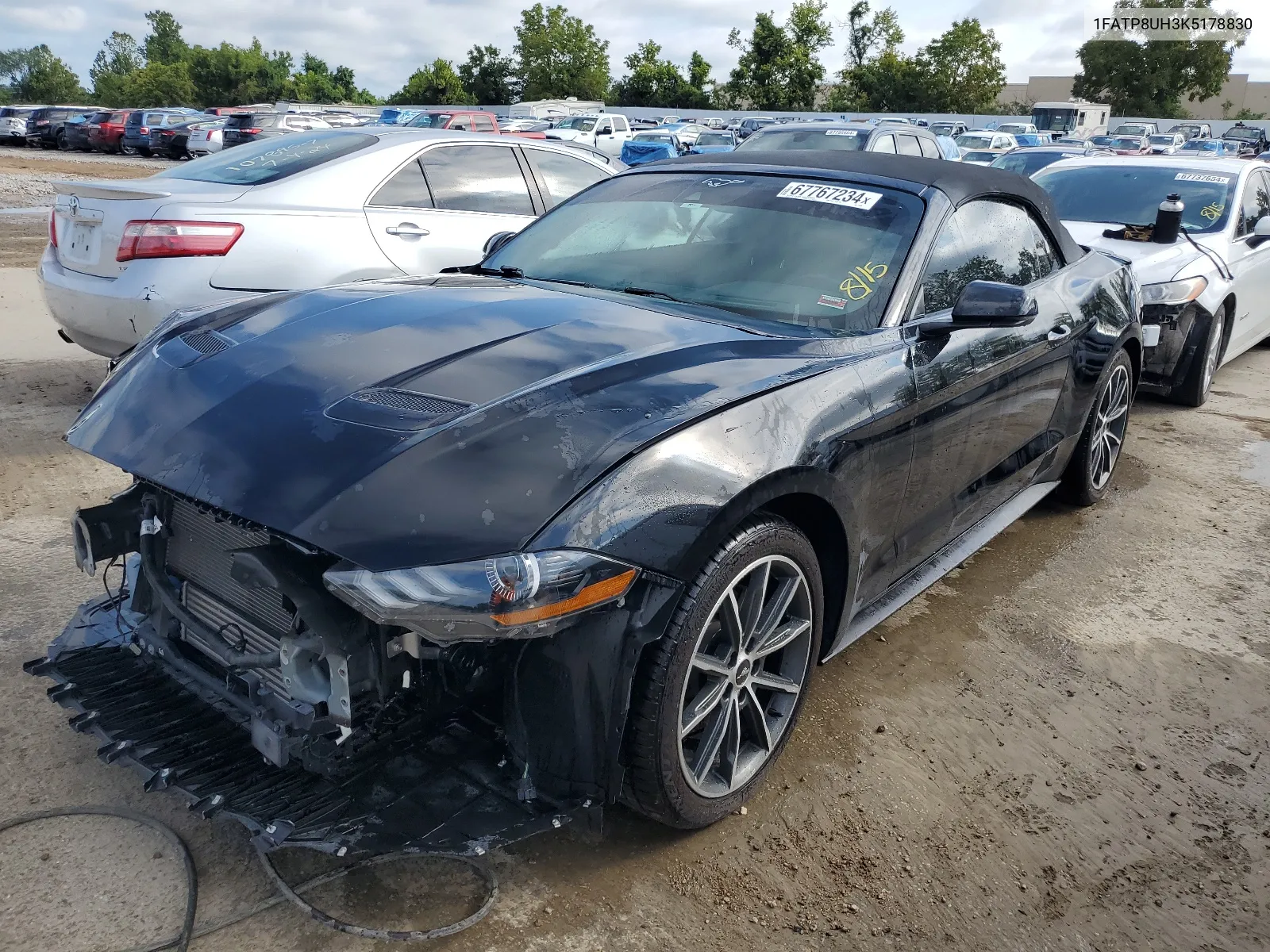 2019 Ford Mustang VIN: 1FATP8UH3K5178830 Lot: 67767234