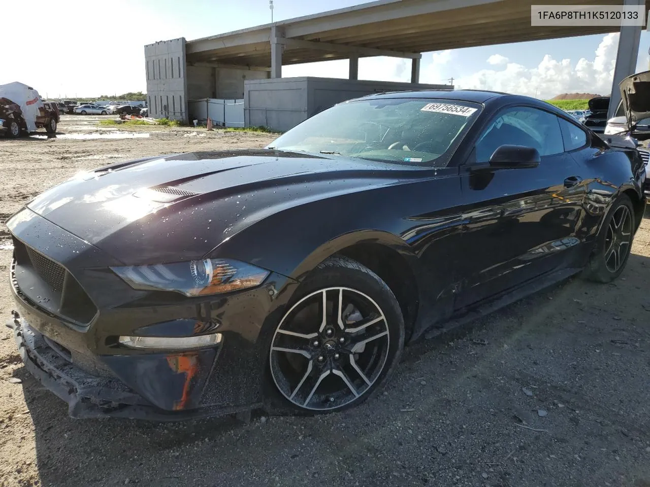 2019 Ford Mustang VIN: 1FA6P8TH1K5120133 Lot: 69756534