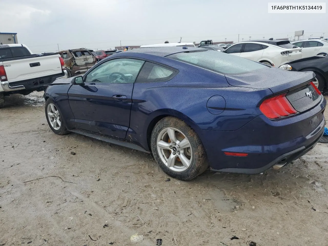 2019 Ford Mustang VIN: 1FA6P8TH1K5134419 Lot: 70195004