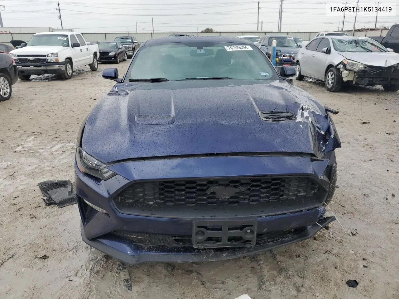 2019 Ford Mustang VIN: 1FA6P8TH1K5134419 Lot: 70195004