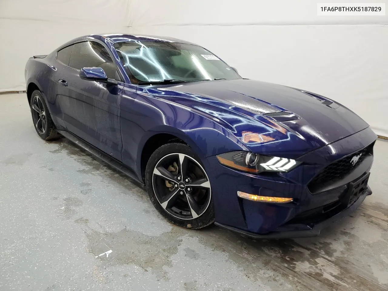 2019 Ford Mustang VIN: 1FA6P8THXK5187829 Lot: 70448464