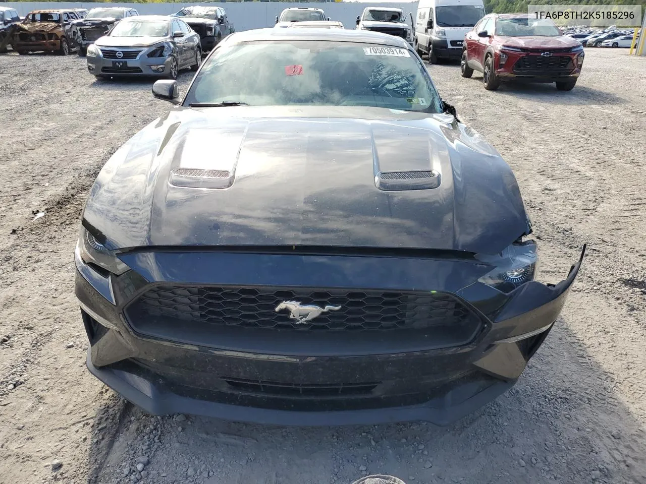 2019 Ford Mustang VIN: 1FA6P8TH2K5185296 Lot: 70503914