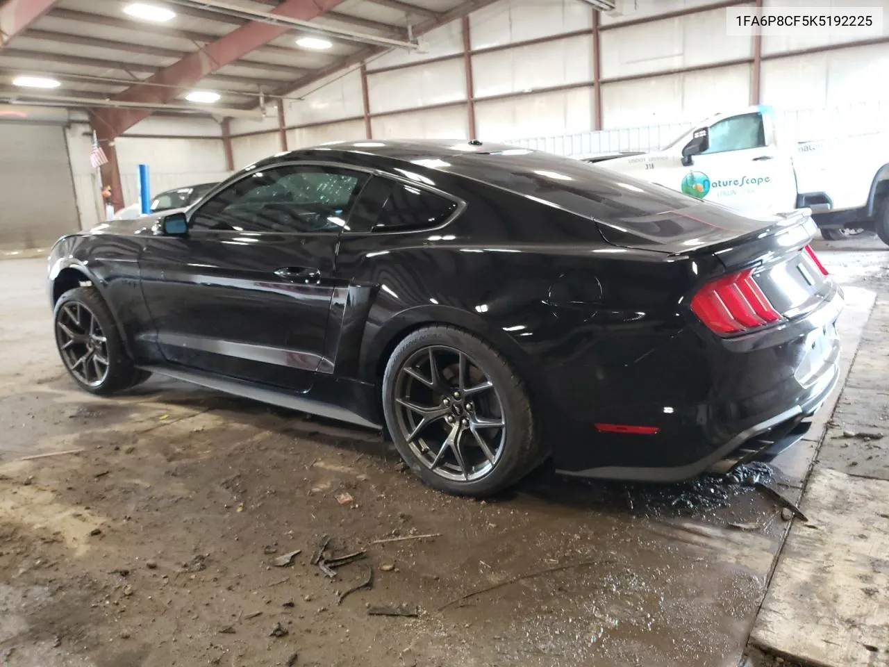 2019 Ford Mustang Gt VIN: 1FA6P8CF5K5192225 Lot: 71007644