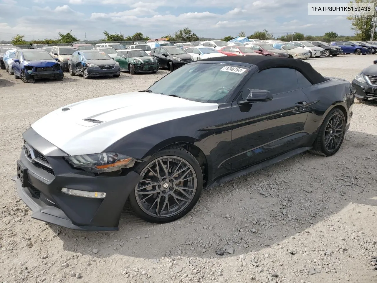 2019 Ford Mustang VIN: 1FATP8UH1K5159435 Lot: 71048164