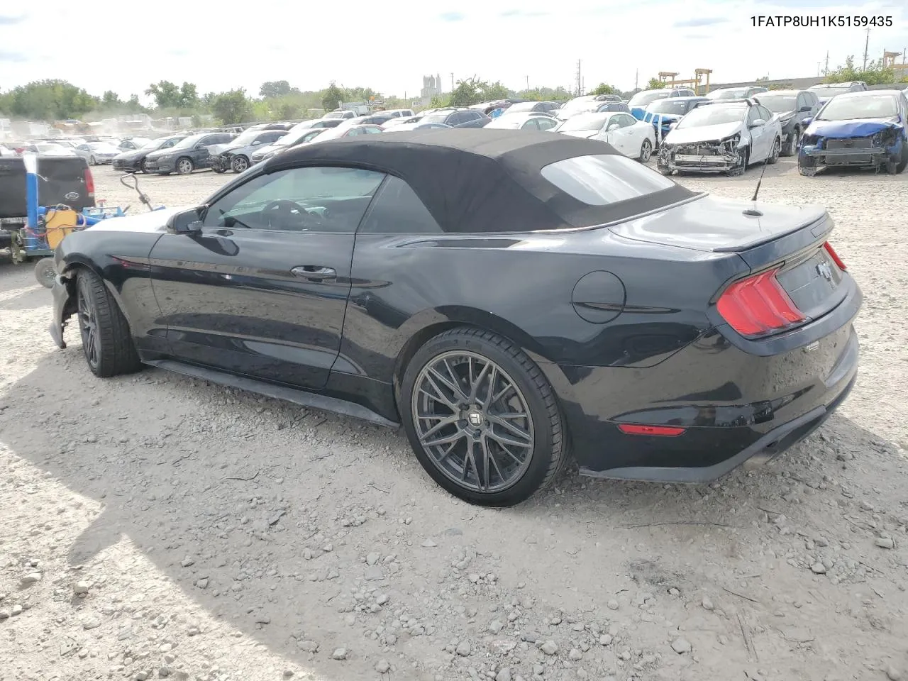 2019 Ford Mustang VIN: 1FATP8UH1K5159435 Lot: 71048164