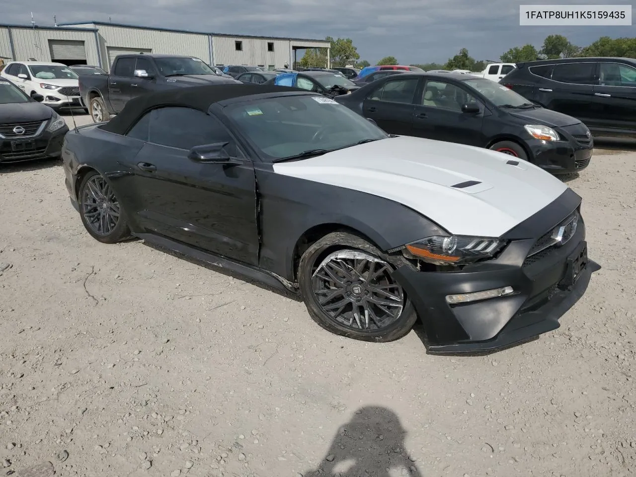 2019 Ford Mustang VIN: 1FATP8UH1K5159435 Lot: 71048164