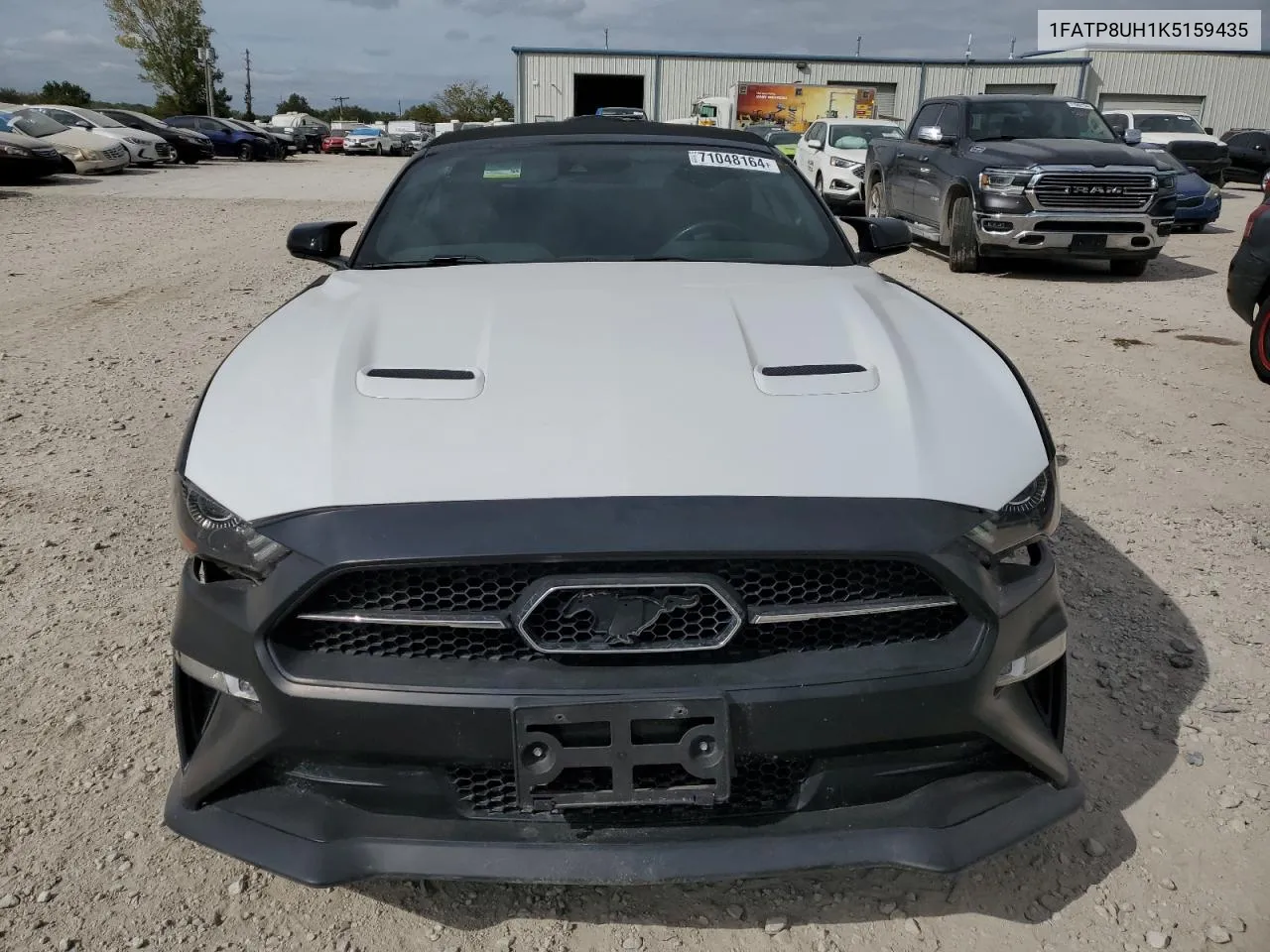 2019 Ford Mustang VIN: 1FATP8UH1K5159435 Lot: 71048164