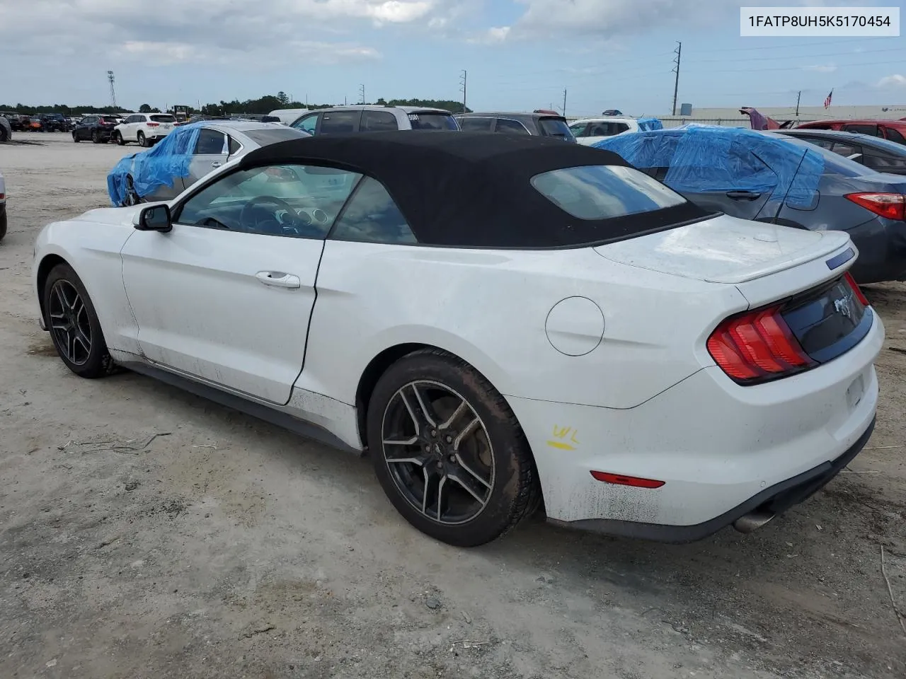 2019 Ford Mustang VIN: 1FATP8UH5K5170454 Lot: 71319604