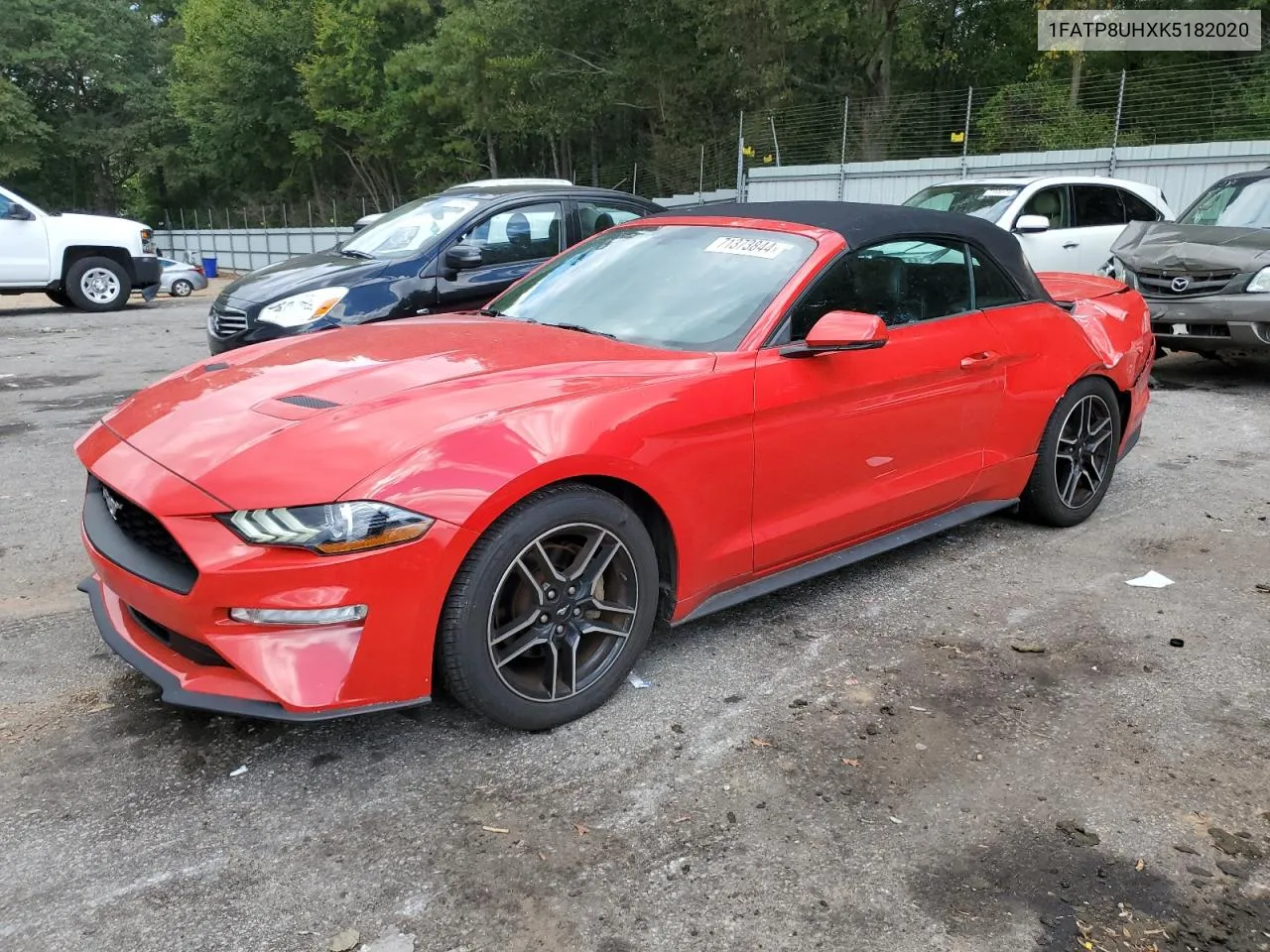 2019 Ford Mustang VIN: 1FATP8UHXK5182020 Lot: 71373844