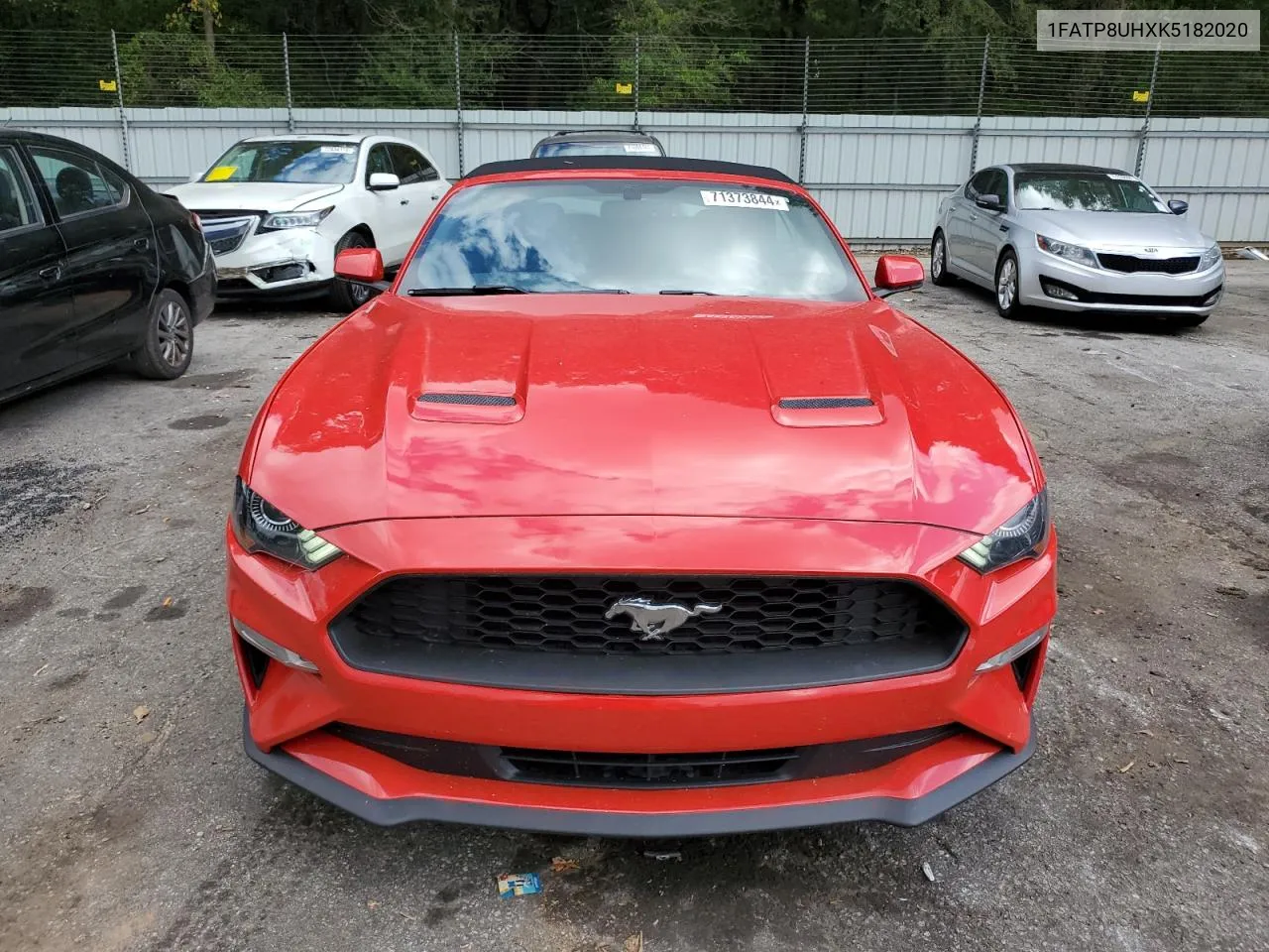 2019 Ford Mustang VIN: 1FATP8UHXK5182020 Lot: 71373844