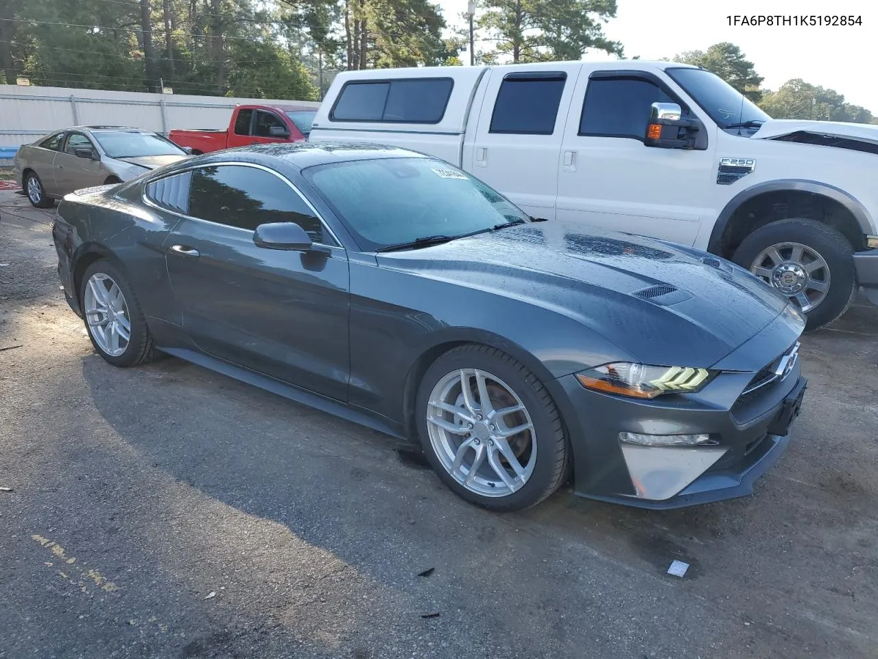 2019 Ford Mustang VIN: 1FA6P8TH1K5192854 Lot: 72341844