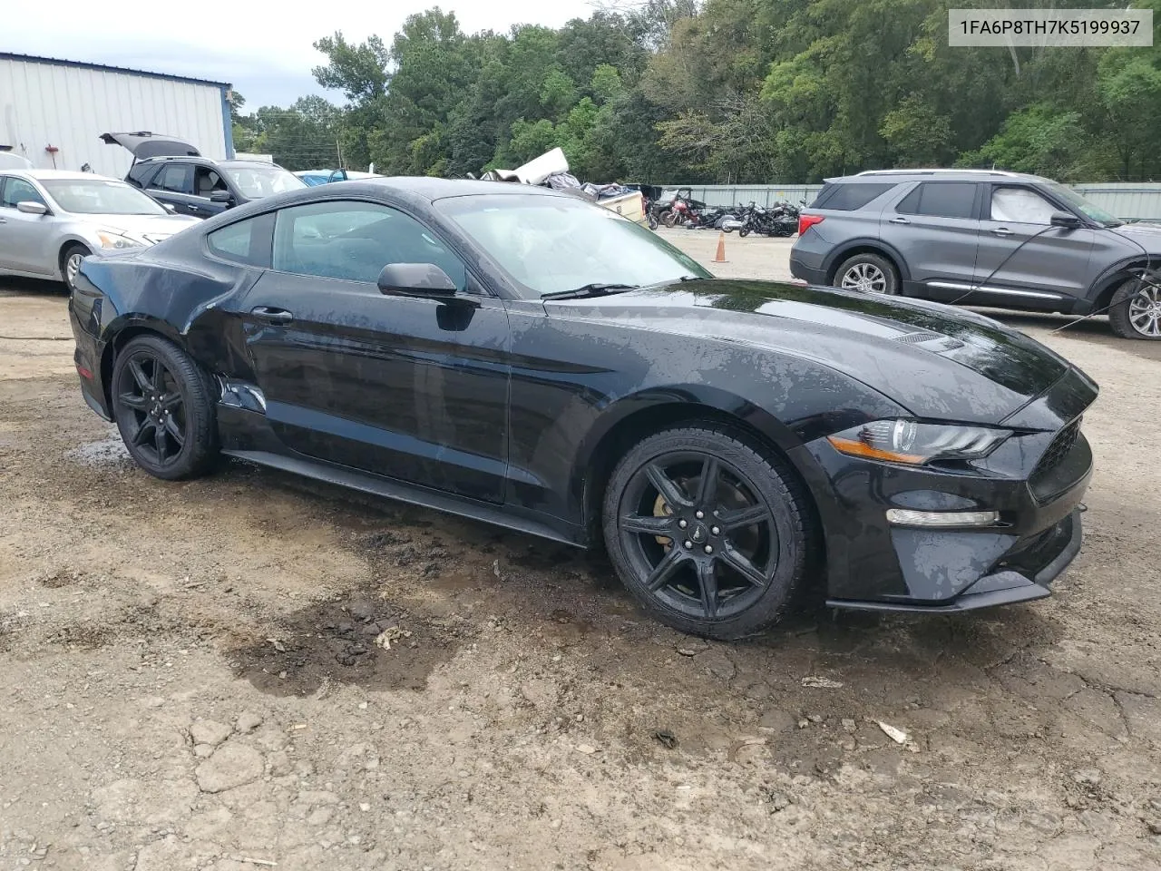 2019 Ford Mustang VIN: 1FA6P8TH7K5199937 Lot: 72471744