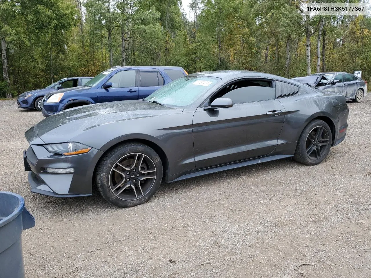 2019 Ford Mustang VIN: 1FA6P8TH3K5177367 Lot: 73734474