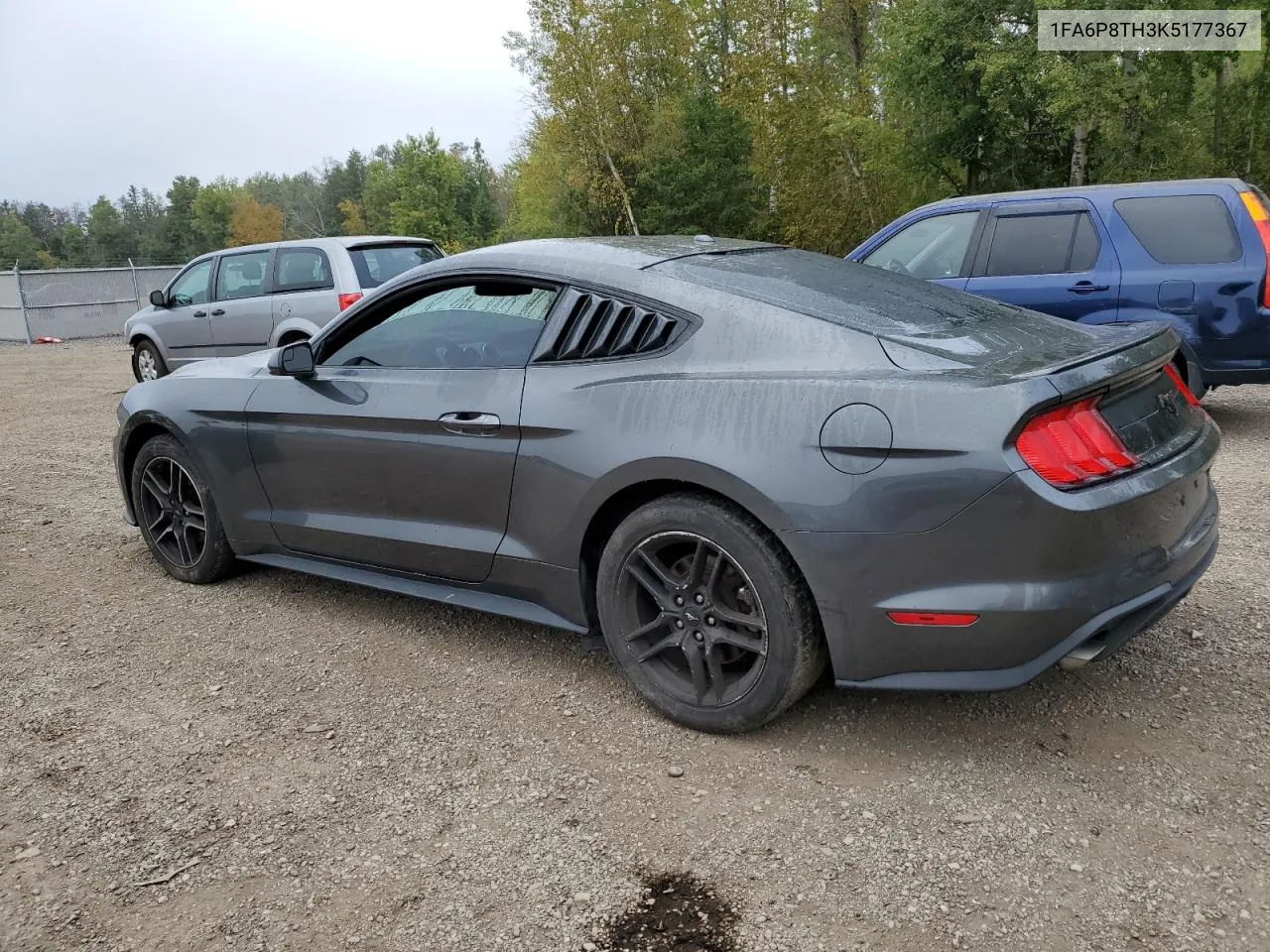 2019 Ford Mustang VIN: 1FA6P8TH3K5177367 Lot: 73734474