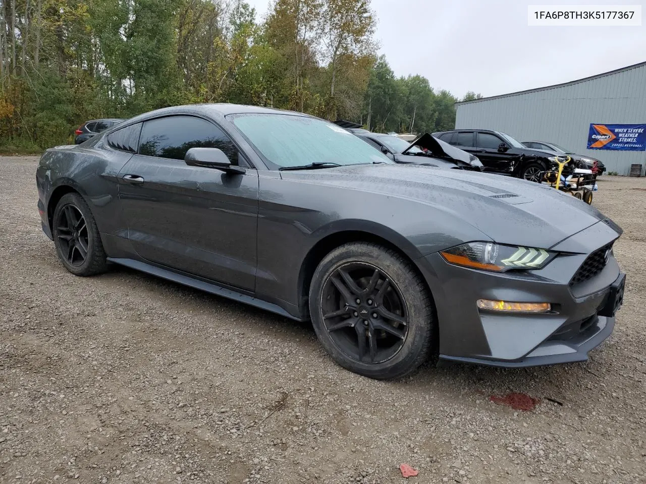 2019 Ford Mustang VIN: 1FA6P8TH3K5177367 Lot: 73734474