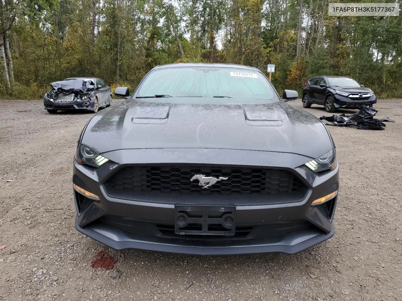 2019 Ford Mustang VIN: 1FA6P8TH3K5177367 Lot: 73734474