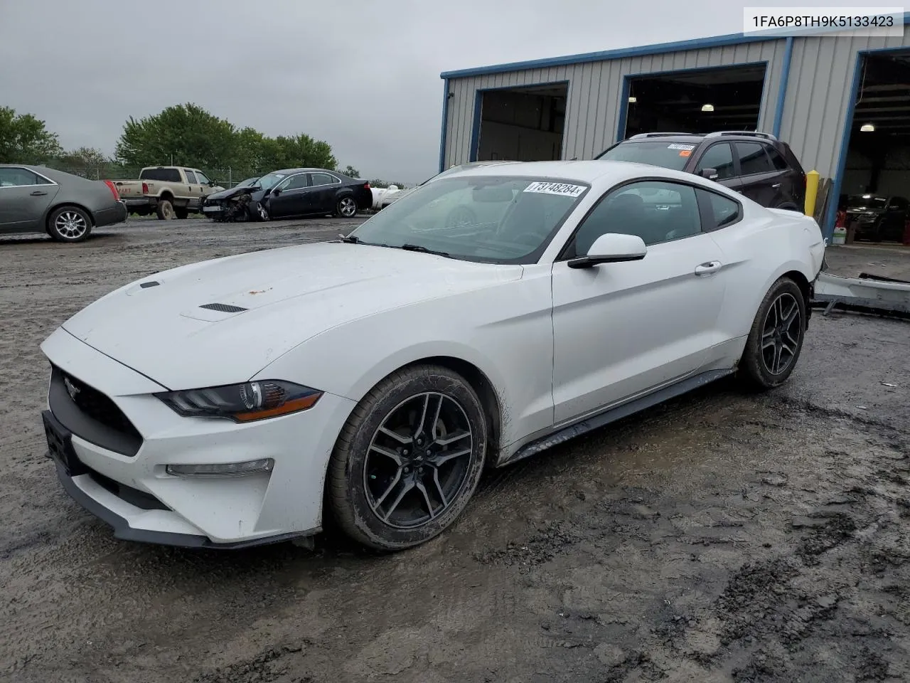 2019 Ford Mustang VIN: 1FA6P8TH9K5133423 Lot: 73748284