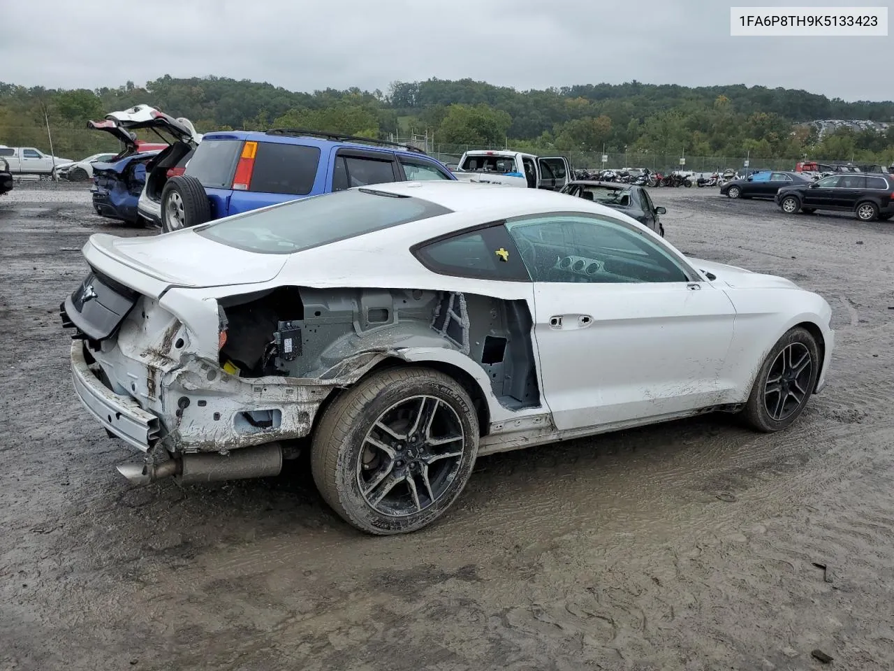 2019 Ford Mustang VIN: 1FA6P8TH9K5133423 Lot: 73748284