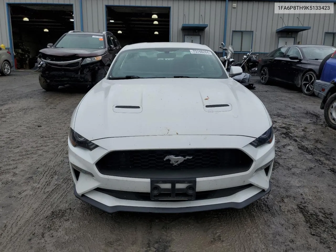 2019 Ford Mustang VIN: 1FA6P8TH9K5133423 Lot: 73748284