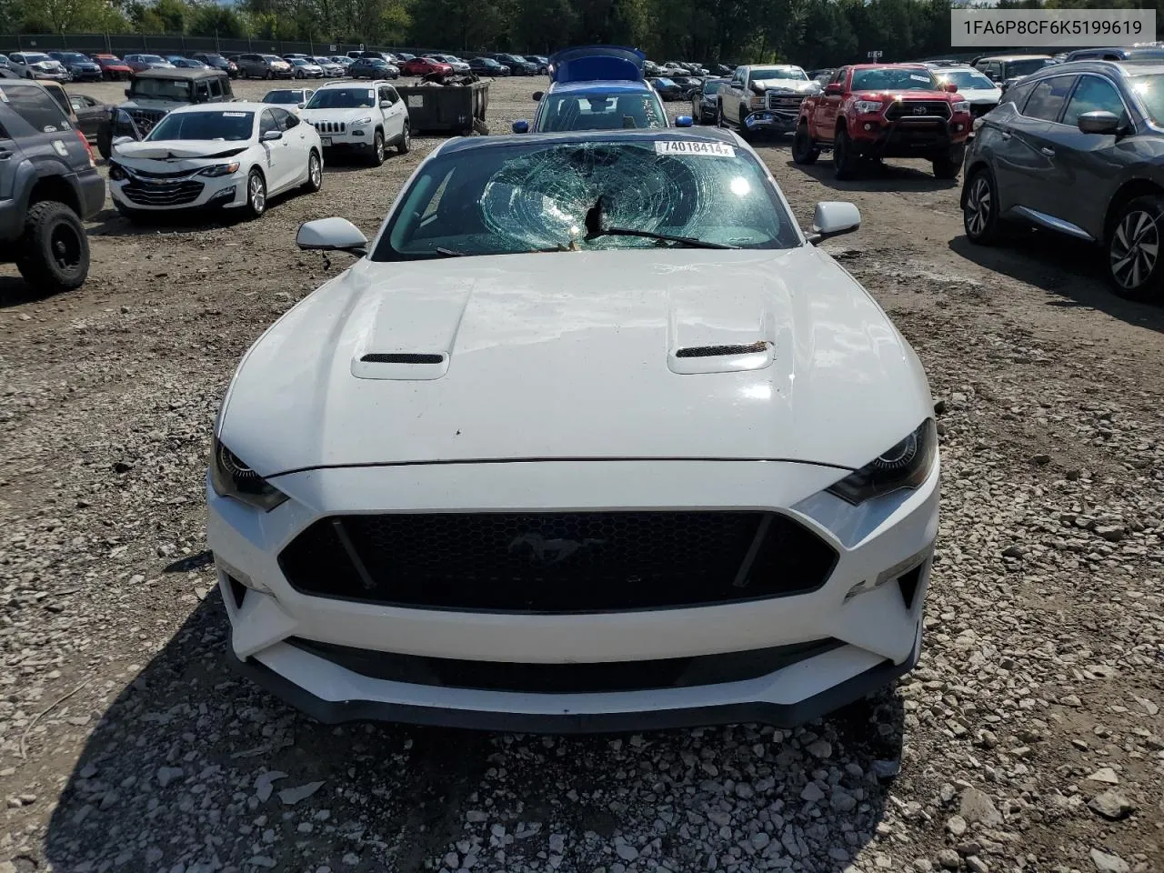 2019 Ford Mustang Gt VIN: 1FA6P8CF6K5199619 Lot: 74018414