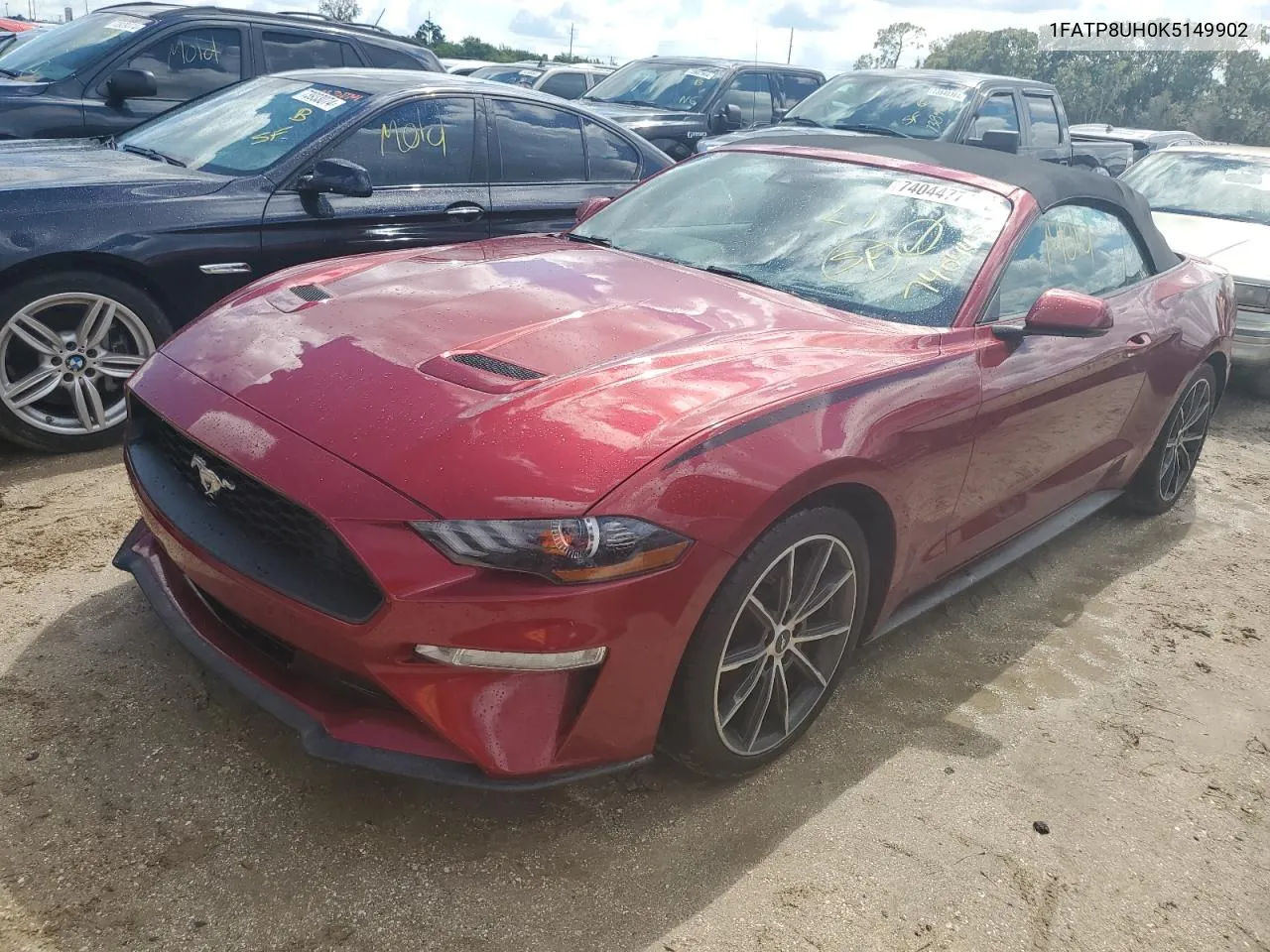 2019 Ford Mustang VIN: 1FATP8UH0K5149902 Lot: 74044774