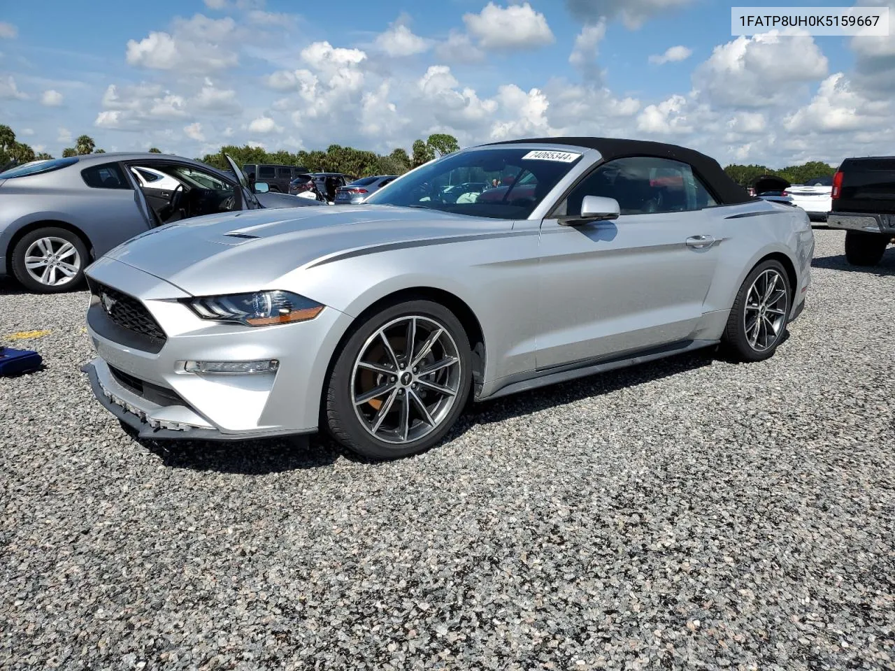 2019 Ford Mustang VIN: 1FATP8UH0K5159667 Lot: 74065344