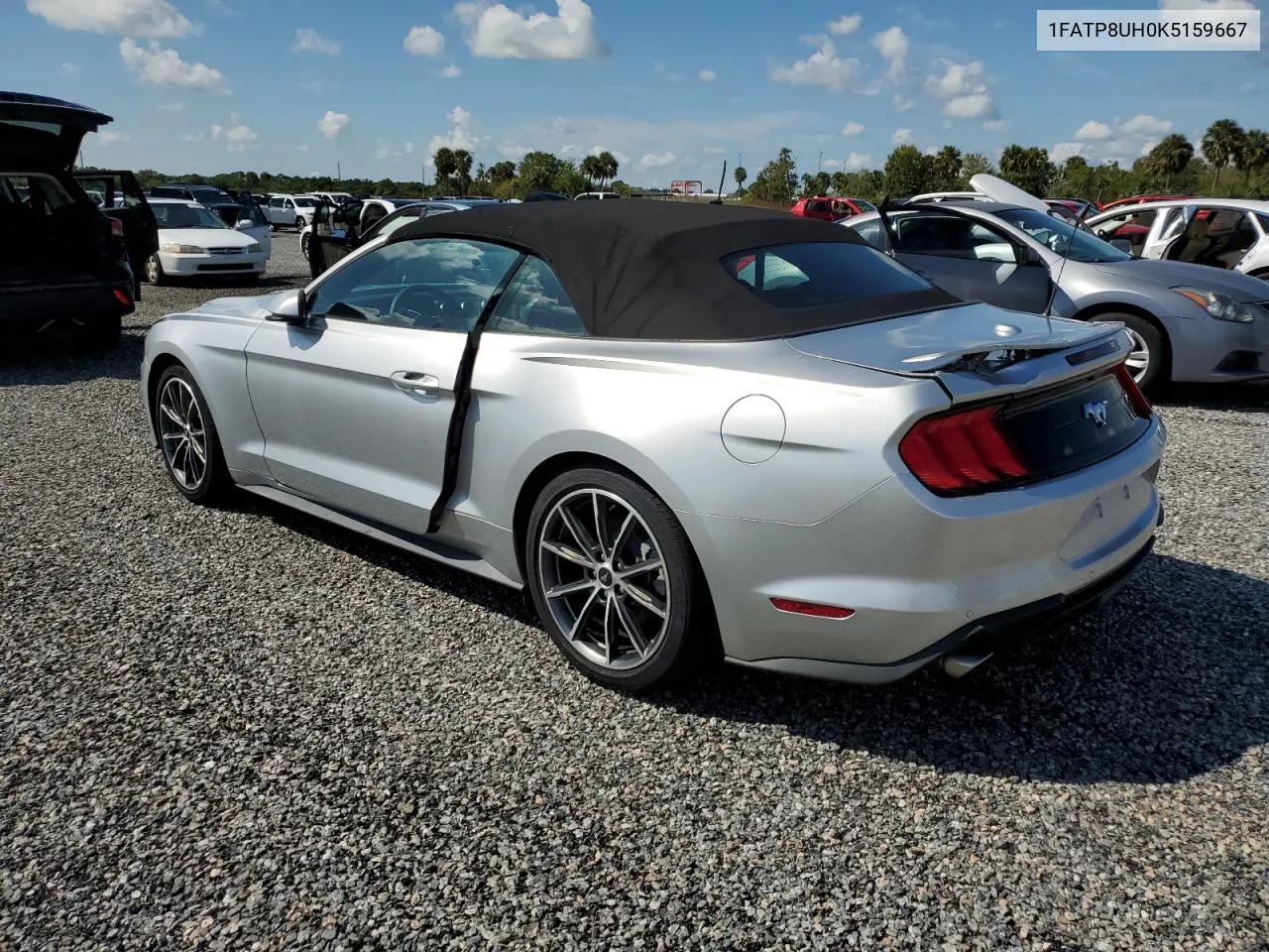 2019 Ford Mustang VIN: 1FATP8UH0K5159667 Lot: 74065344