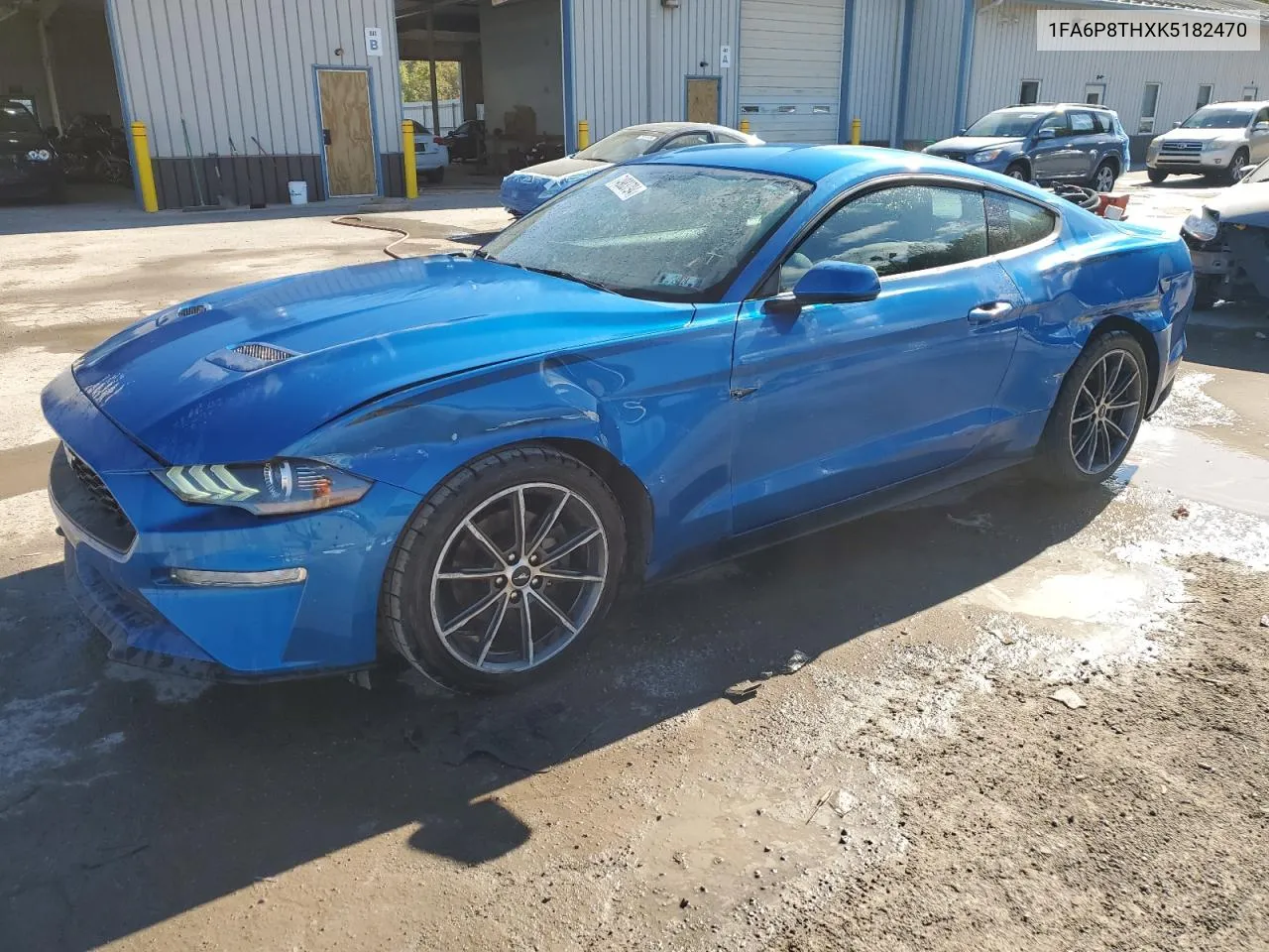 2019 Ford Mustang VIN: 1FA6P8THXK5182470 Lot: 74983794