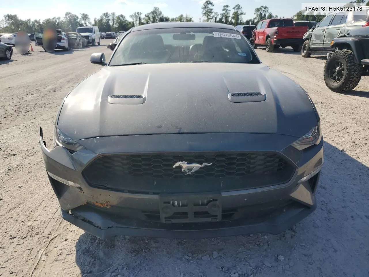 2019 Ford Mustang VIN: 1FA6P8TH5K5123178 Lot: 75013644