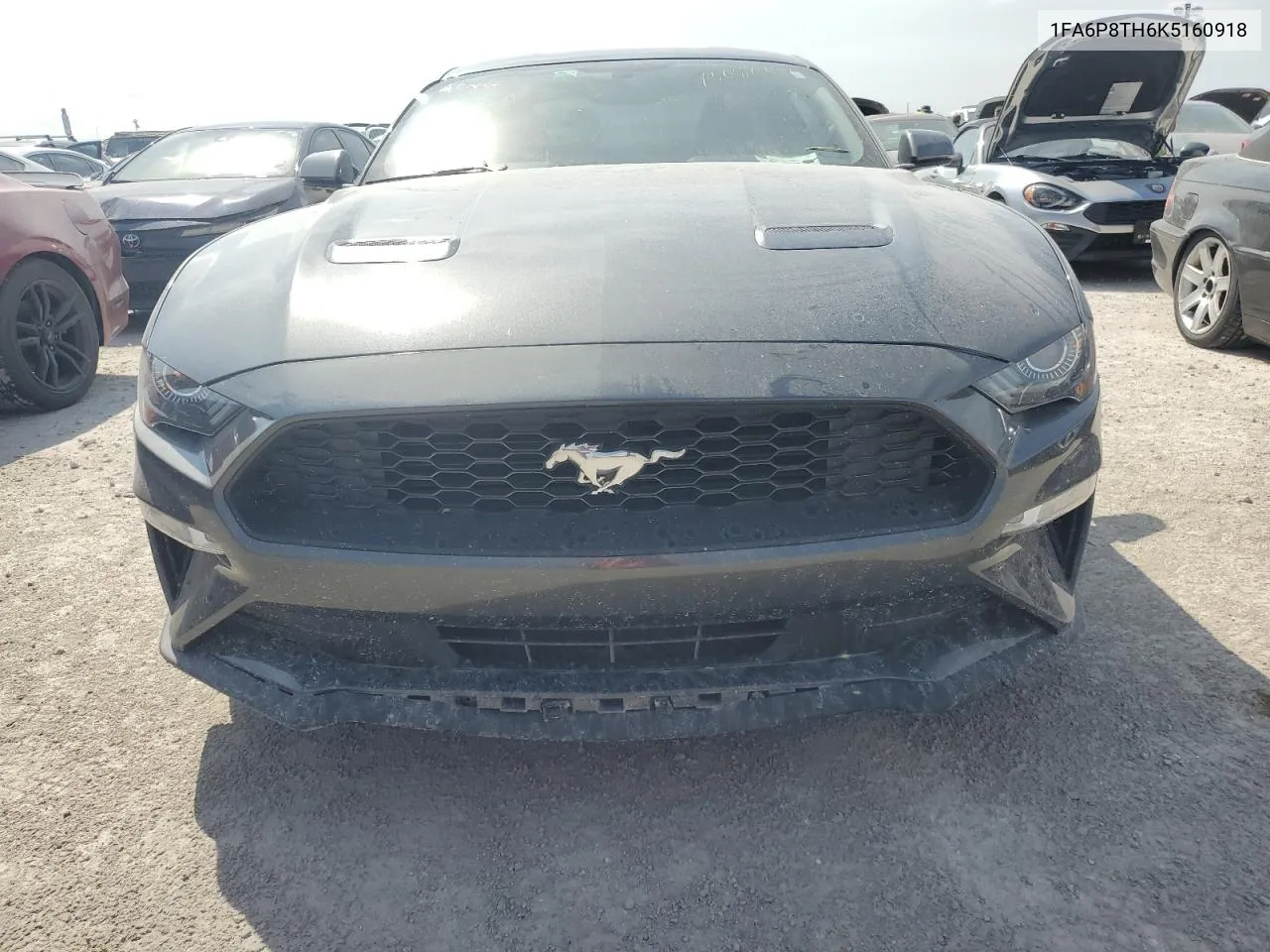 2019 Ford Mustang VIN: 1FA6P8TH6K5160918 Lot: 75087994