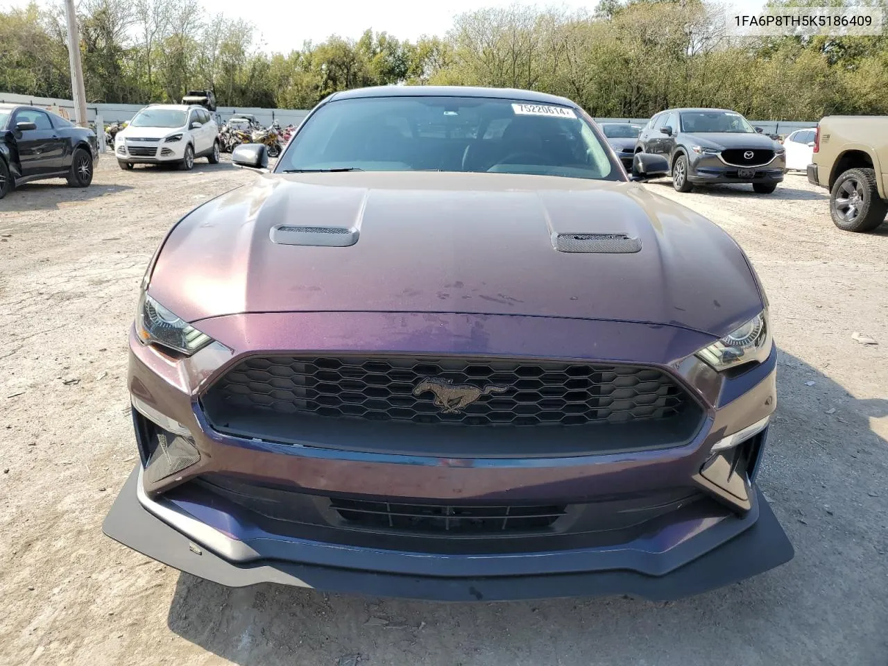 2019 Ford Mustang VIN: 1FA6P8TH5K5186409 Lot: 75220614