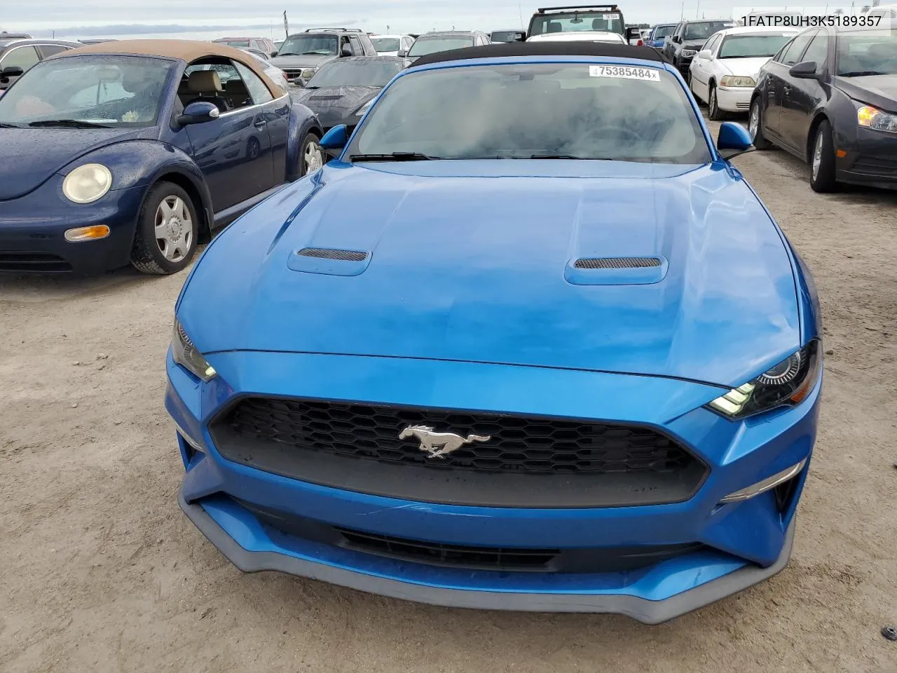 2019 Ford Mustang VIN: 1FATP8UH3K5189357 Lot: 75385484