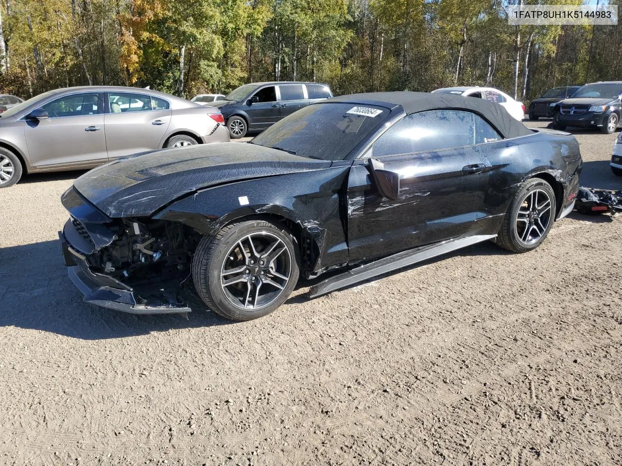 2019 Ford Mustang VIN: 1FATP8UH1K5144983 Lot: 76030664