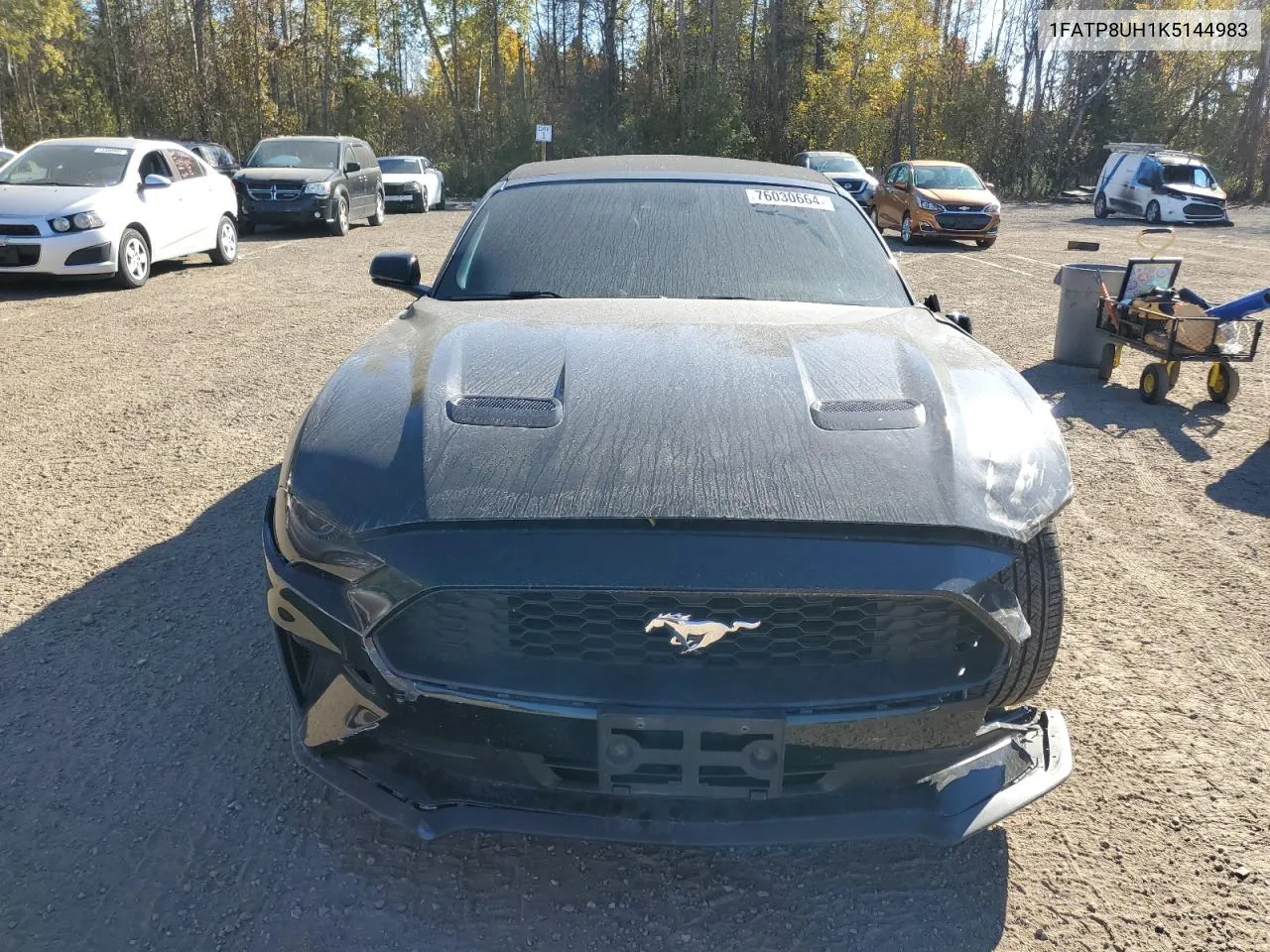 2019 Ford Mustang VIN: 1FATP8UH1K5144983 Lot: 76030664